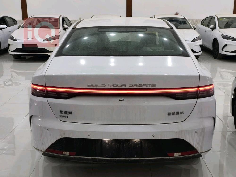 بي واي دي ديستروير 05